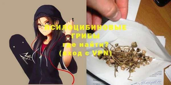 стаф Алексеевка