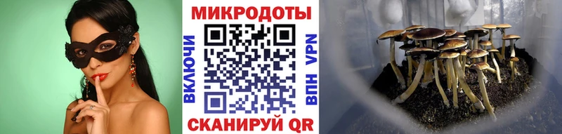 Галлюциногенные грибы MAGIC MUSHROOMS Сарапул